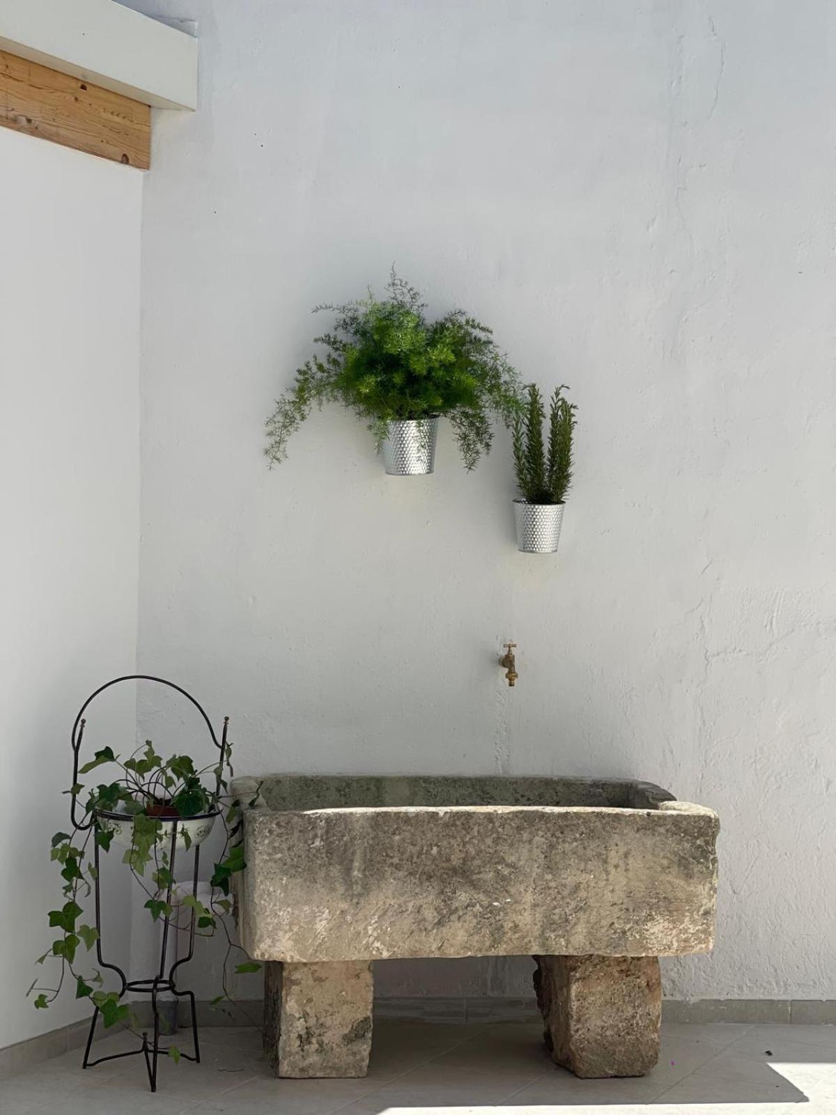 فندق Cortile Carducci راكالي المظهر الخارجي الصورة